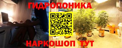 спайс Сланцы