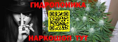 амф Славгород