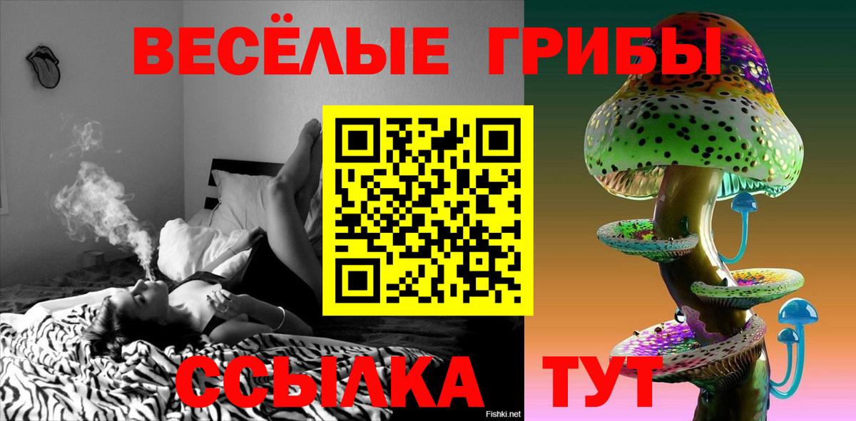 Якутск  Псилоцибиновые грибы прущие грибы  где найти наркотики  Вход с VPN  Псилоцибиновые грибы Magic Shrooms 